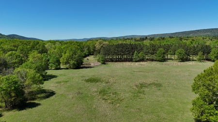20 Acres (MOL) Kiamichi River Frontage Property For Sale! - image 6