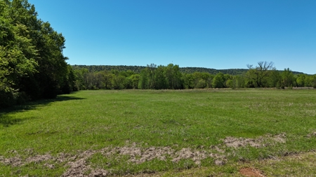 20 Acres (MOL) Kiamichi River Frontage Property For Sale! - image 3
