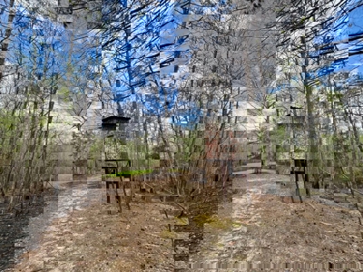 Cairo +/-69 Acre Outdoor Retreat - image 9