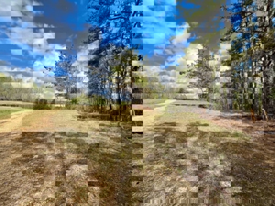 Cairo +/-69 Acre Outdoor Retreat - image 4