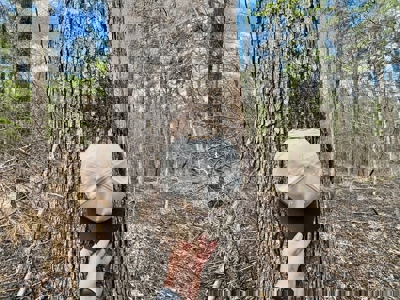 Cairo +/-69 Acre Outdoor Retreat - image 18