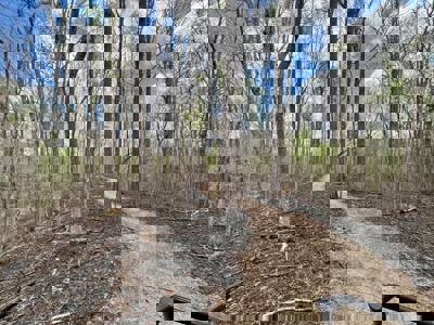 Cairo +/-69 Acre Outdoor Retreat - image 20