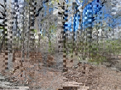 Cairo +/-69 Acre Outdoor Retreat - image 7