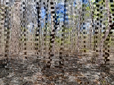 Cairo +/-69 Acre Outdoor Retreat - image 19