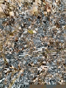 Cairo +/-69 Acre Outdoor Retreat - image 21