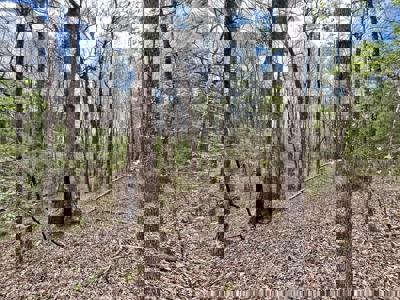 Cairo +/-69 Acre Outdoor Retreat - image 16