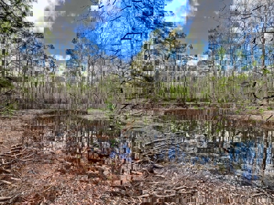 Cairo +/-69 Acre Outdoor Retreat - image 8