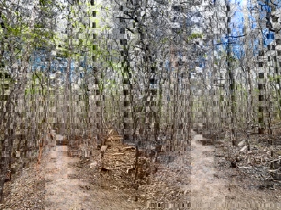 Cairo +/-69 Acre Outdoor Retreat - image 15