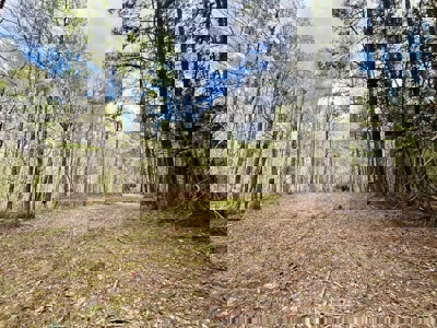 Cairo +/-69 Acre Outdoor Retreat - image 14