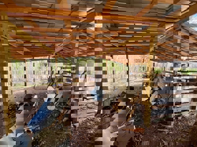 Cairo +/-69 Acre Outdoor Retreat - image 37