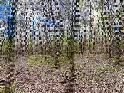 Cairo +/-69 Acre Outdoor Retreat - image 23