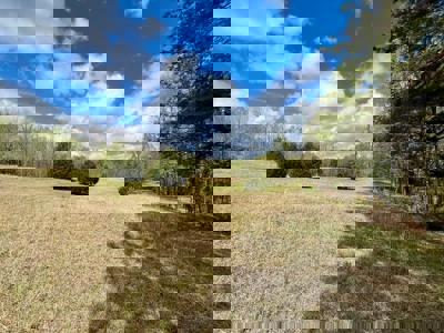 Cairo +/-69 Acre Outdoor Retreat - image 5