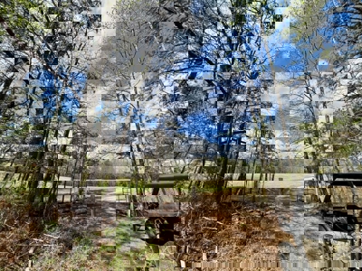 Cairo +/-69 Acre Outdoor Retreat - image 3