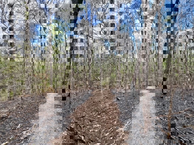 Cairo +/-69 Acre Outdoor Retreat - image 22