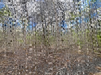 Cairo +/-69 Acre Outdoor Retreat - image 17