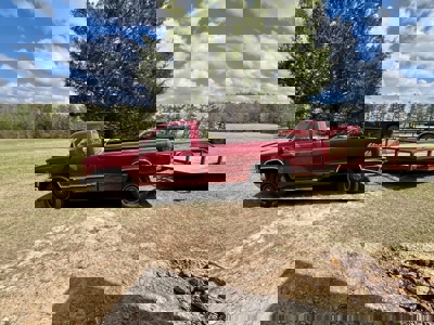 Cairo +/-69 Acre Outdoor Retreat - image 39