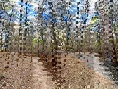 Cairo +/-69 Acre Outdoor Retreat - image 11