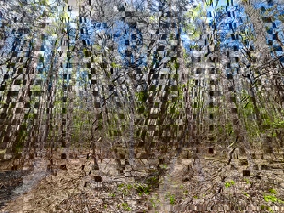 Cairo +/-69 Acre Outdoor Retreat - image 12