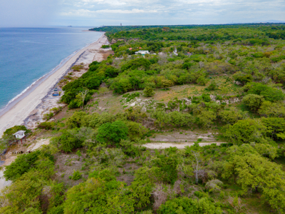 Oceanfront Land El Higo Panama | 9,146 m² Investment Opportunity - image 13
