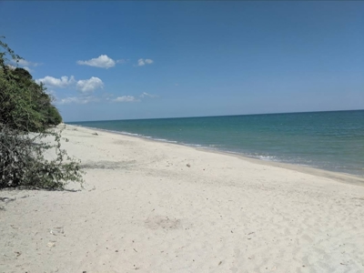 Oceanfront Land El Higo Panama | 9,146 m² Investment Opportunity - image 9