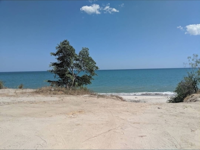 Oceanfront Land El Higo Panama | 9,146 m² Investment Opportunity - image 5