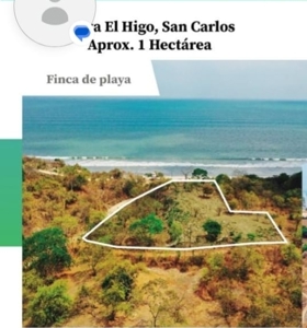 Oceanfront Land El Higo Panama | 9,146 m² Investment Opportunity - image 8
