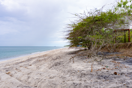 Oceanfront Land El Higo Panama | 9,146 m² Investment Opportunity - image 25