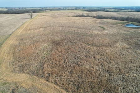 Monroe County Hunting & Income Farm - image 42