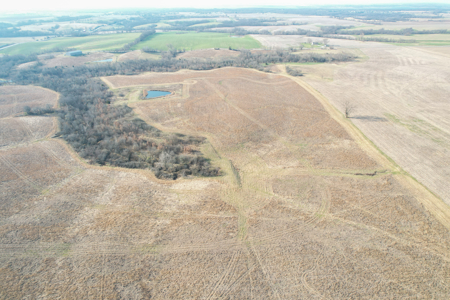 Monroe County Hunting & Income Farm - image 19