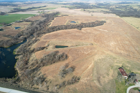 Monroe County Hunting & Income Farm - image 32