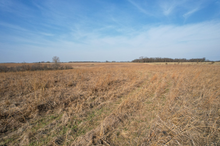 Monroe County Hunting & Income Farm - image 47