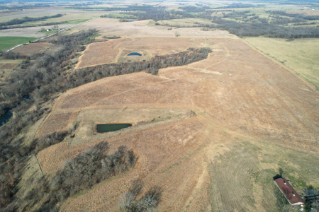 Monroe County Hunting & Income Farm - image 31