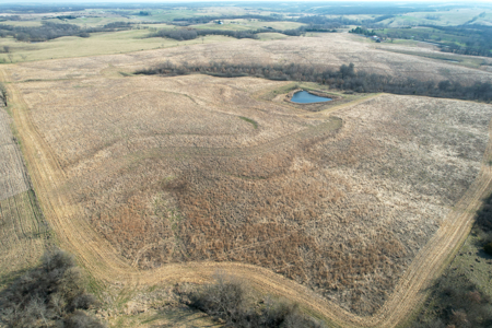 Monroe County Hunting & Income Farm - image 40