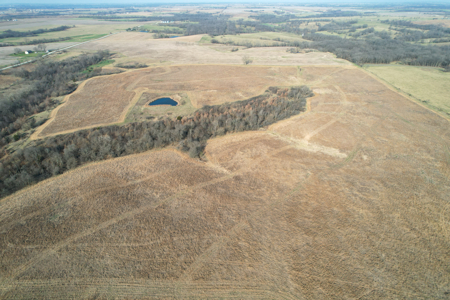 Monroe County Hunting & Income Farm - image 29