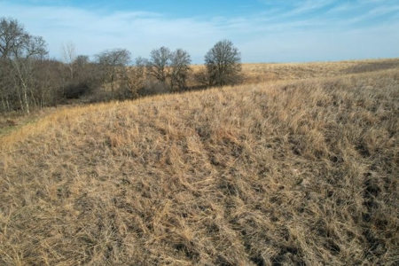 Monroe County Hunting & Income Farm - image 46