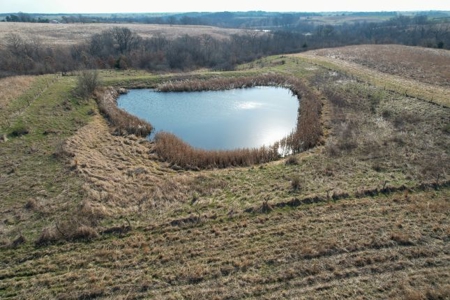 Monroe County Hunting & Income Farm - image 43