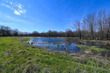 Home For Sale Lamar, Missouri, Barton County - image 33