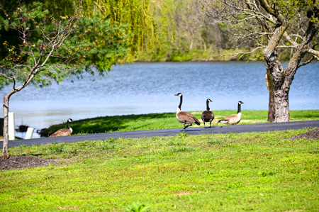 Home For Sale Lamar, Missouri, Barton County - image 50