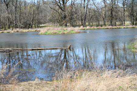 Home For Sale Lamar, Missouri, Barton County - image 31