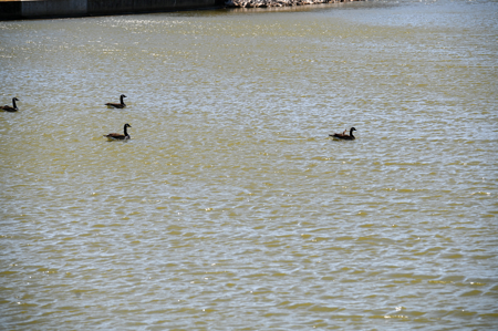 Home For Sale Lamar, Missouri, Barton County - image 30