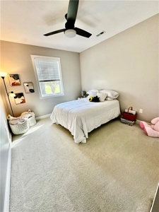 Energy Efficient, Spacious Home Near NWSU - image 44