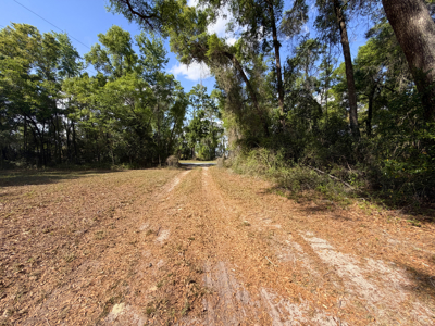 Land with Utilities in North Florida Levy County Chieflland! - image 14