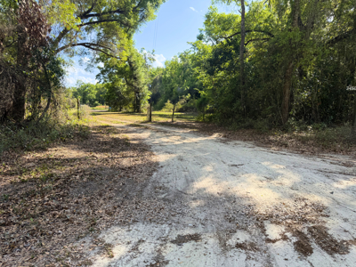 Land with Utilities in North Florida Levy County Chieflland! - image 15