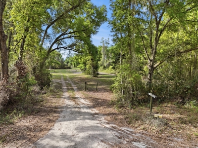 Land with Utilities in North Florida Levy County Chieflland! - image 3