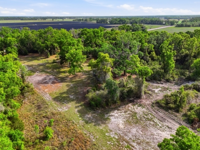 Land with Utilities in North Florida Levy County Chieflland! - image 22