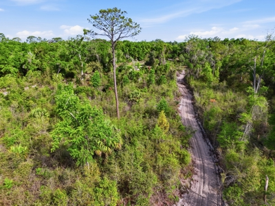 Land with Utilities in North Florida Levy County Chieflland! - image 24