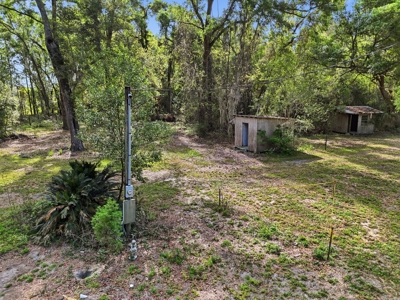 Land with Utilities in North Florida Levy County Chieflland! - image 5