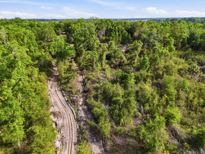 Land with Utilities in North Florida Levy County Chieflland! - image 25