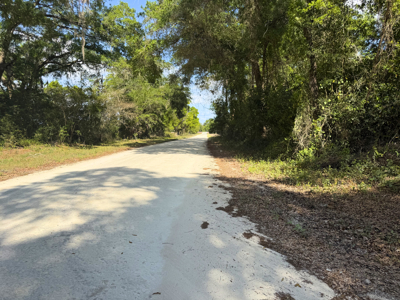 Land with Utilities in North Florida Levy County Chieflland! - image 19