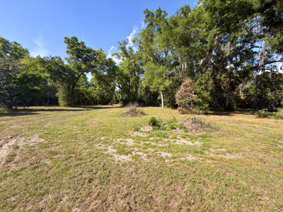 Land with Utilities in North Florida Levy County Chieflland! - image 7